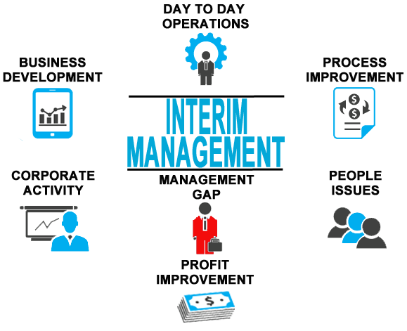 interim management